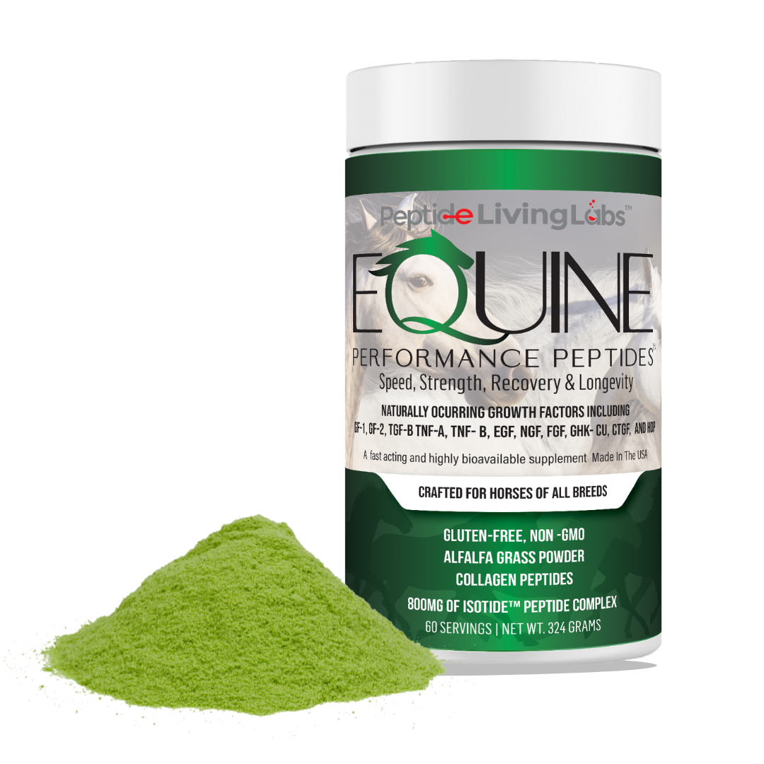equine performance peptides container and powder