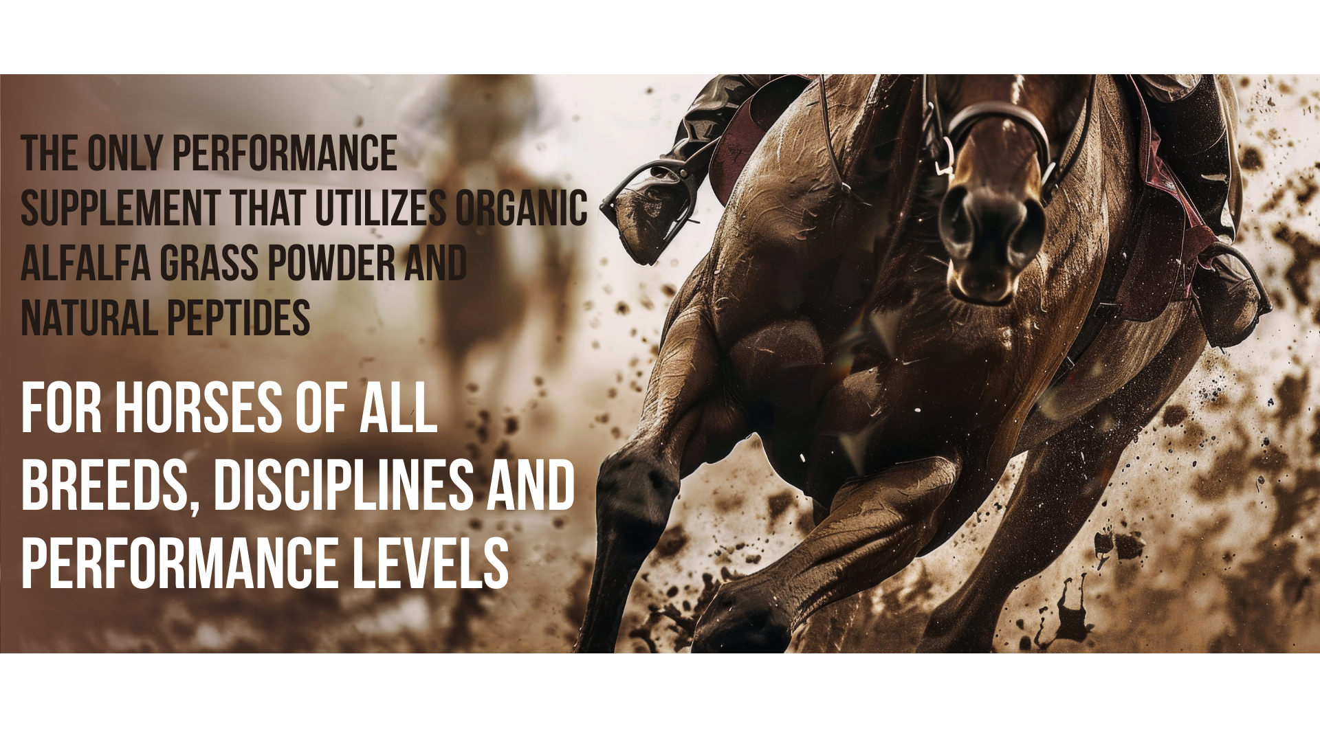 For Horses Of All Breeds, Disciplines and Performance Levels(1)
